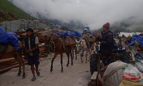 केदारनाथ धाम यात्रा मार्ग 26 दिनों के भीतर ही खुल गए हैं