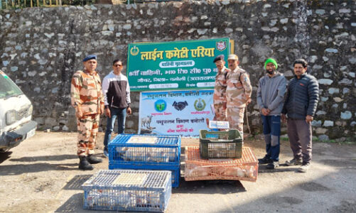 आईटीबीपी को भेड़, बकरी, मुर्गी और ट्राउट फिश की सप्लाई करते हैं किसान
