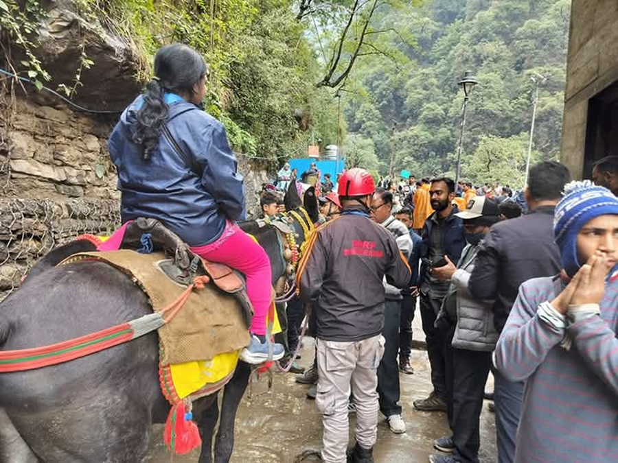 पशु चिकित्सा जांच के उपरांत ही खच्चर व घोड़े केदारनाथ की ओर भेजे जा सकेंगे