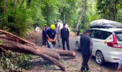 यात्रा मार्ग पर गिरे विशालकाय पेड़, यातायात हुआ बाधित