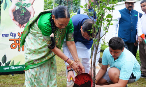 मुख्यमंत्री ने किया अपनी माता के साथ पौधारोपण