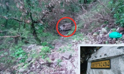 अनियंत्रित होकर 200 मीटर गहरी खाई में गिरी कार, एक युवक की दर्दनाक मौत, चालक घायल