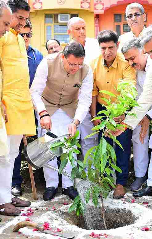 मुख्यमंत्री ने एक पेड़ मॉं के नाम अभियान के तहत किया पौधारोपण।