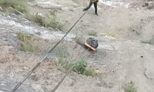 तोता घाटी में भीषण हादसा, डोईवाला के तीन युवकों की खाई में गिरकर मौत