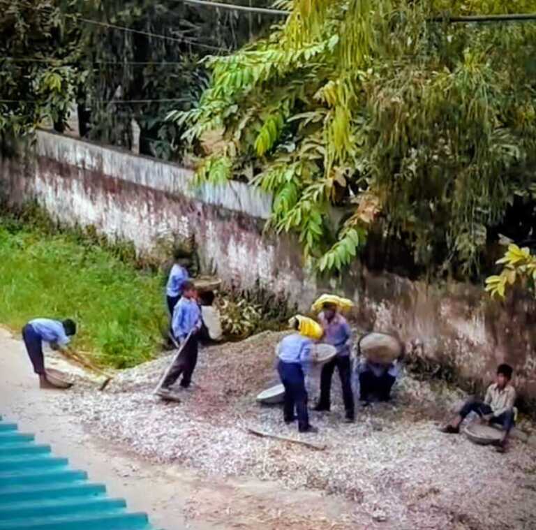 स्कूली बच्चों से रेता बजरी उठवाने पर प्राथमिक विद्यालय बंजारावाला की प्रधानाचार्य निलंबित।