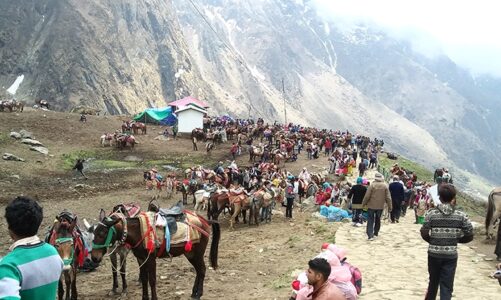 चारधाम और आदि कैलाश यात्रा हेतु अश्ववंशीय पशुओं के लिए नई गाइडलाइन जारी