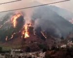 उत्तराखंड वनाग्नि: चमोली में आग बुझाते समय चट्टान से गिरे फायर वॉचर, मौके पर ही दर्दनाक मौत