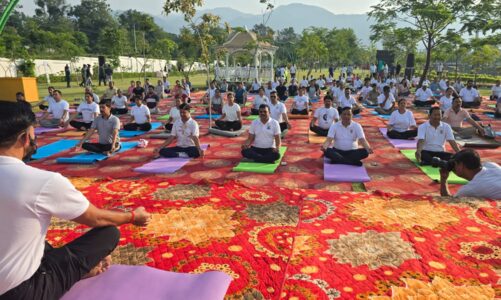 योग की छांव में विकास का संकल्प, एमडीडीए सिटी फॉरेस्ट पार्क बना स्वास्थ्य और प्रकृति का महाकुंभ