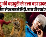 बहू की बहादुरी से टला बड़ा हादसा: हंसिया लेकर बाघ से भिड़ी, सास की बचाई जान