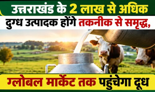 उत्तराखंड के 2 लाख से अधिक दुग्ध उत्पादक होंगे तकनीक से समृद्ध, ग्लोबल मार्केट तक पहुंचेगा दूध